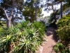 Garten Weg Cala Ratjada ohne Schwimmbad.jpg