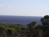 Kaktusfinca_Meerblick