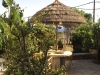 dsc00082.jpg